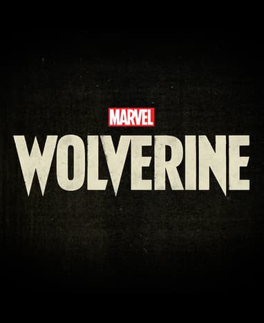 Marvel's Wolverine Game Logo on Black