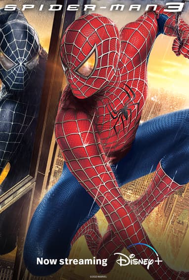 Spider-Man 3 Movie Poster